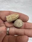 Authentic Civil War Era Minie Minnie Ball & Smoothbore Round Ball Bullets 1800s
