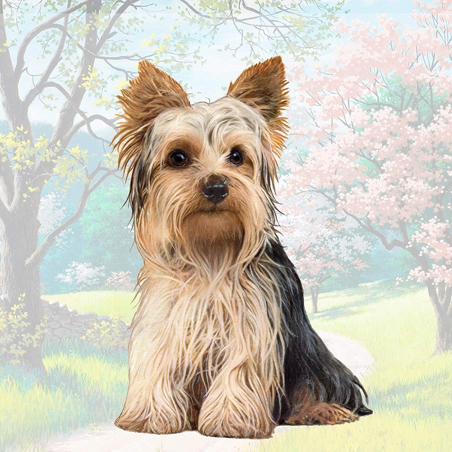 Йоркширский терьер сидит Настольная подставка для напитков 1 2090₽