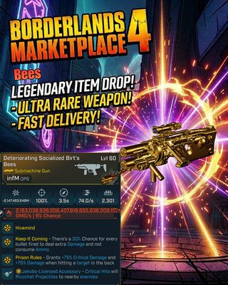 Borderlands 4 Modded Weapons Equipment 60 Level PC-PS-XBOX 