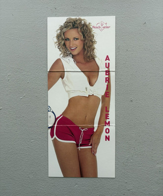 2002 Bench Warmer JUMBO Fold Card | Aubrie Lemon | #15