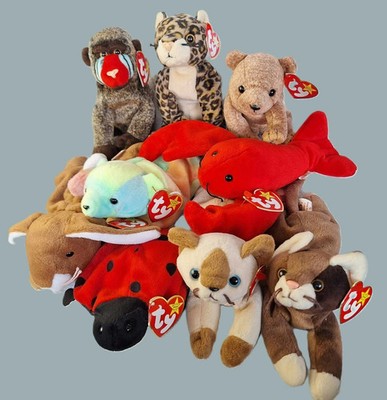 TY Beanie Babys Plüsch neu mit Etikett Figur wählbar Hase Bär Hund