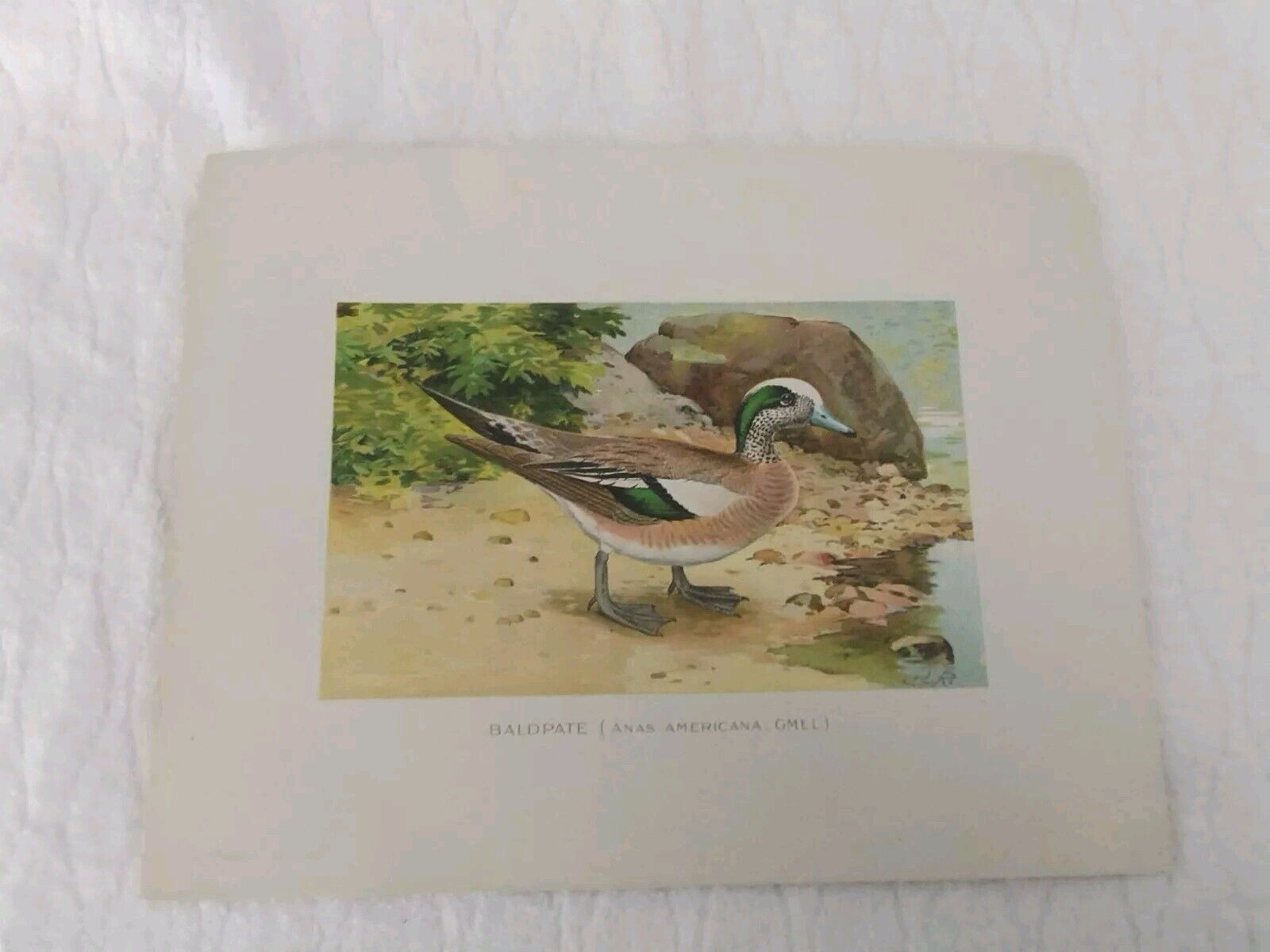 Picture 17 of 24