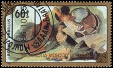 MONGOLIA 1549 - Urogallo con volantes "Bonasa umbellus" (pa12381)