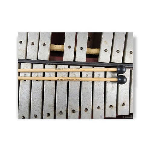 Antique 1903-1912 Xylophone Glockenspiel F.E. Dodge Company Wood Case Boston MA - Picture 6 of 10