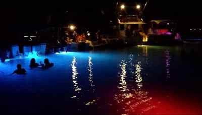 BLUE DOUBLE YK-CD-B LED BOAT DRAIN PLUG LIGHT MADE IN THE USA - Foto 4