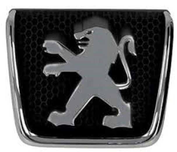 Insigne avant Peugeot 307 avec finition chrome d'origine référence 7810G8