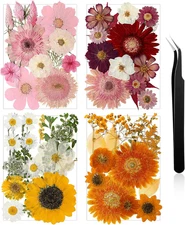 Pressed Flowers Bulk Dried Flower for Crafts, Dried Wildflowers Leave Natural wi