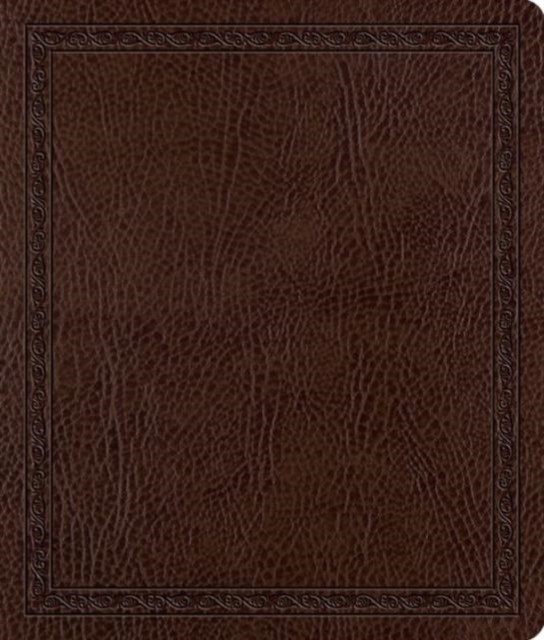 ESV Journaling Bible (Leather / fine binding)