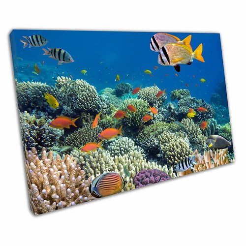 Coral reef with Tropical fish sea life Ocean Art Ready to Hang Wall Art Print - Picture 1 of 4