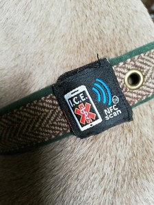 nfc pet tag