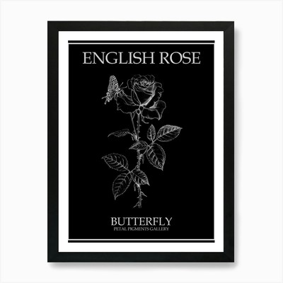 Englische Rose Schmetterling Linienzeichnung gerahmtes Wandbild Poster Leinwanddruck Bild