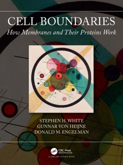 Cell Boundaries by Donald  Engelman PAPERBACK 9780367357160