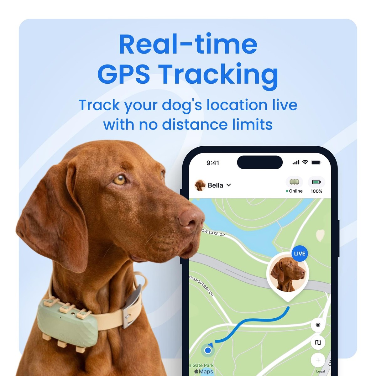 Tractive XL Smart Dog GPS Tracker | Live Pet Tracker with Virtual