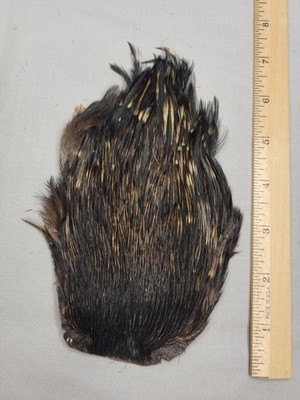 Lot 88,  Grade B,   Natural India Rooster Streamer Neck Cape Feathers