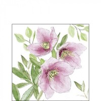 20 Papierservietten, Cocktail - Servietten Christrose Ambiente 25X25Cm