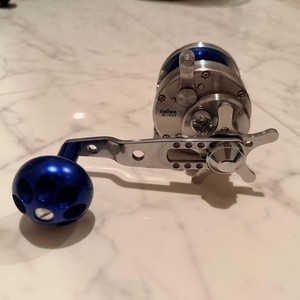 Daiwa Saltiga 30 | eBay