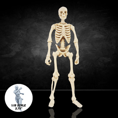 Bone White Skeleton  Vitruvian H.A.C.K.S. Customizer Series Action Figure Blank