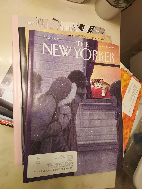 The New Yorker Magazine Lot of 16 Most 2026, 2 2025