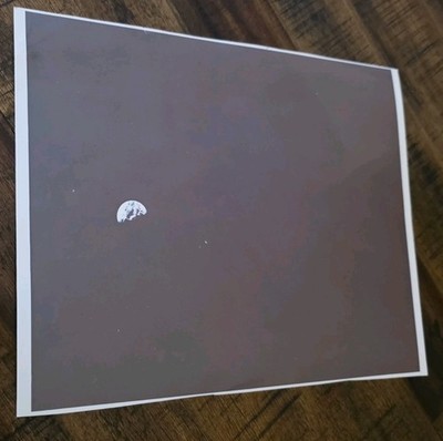 Apollo 8 Earthrise Over Moon  Kodak Paper Original 8x10 NASA Photograph 