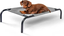 the Original Cooling Elevated Dog Bed, Indoor and Outdoor, Small, Grey