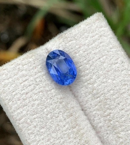 Pierre précieuse ovale en vrac certifiée 8 ct saphir bleuet naturel de Ceylan