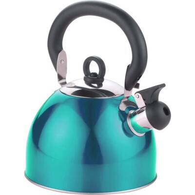 Turquoise Stainless Steel Whistling Kettle 3L Stove Top Hob Kitchen