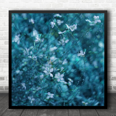 Türkis Türkis Blume Blumen Flora Floral Botanical Bokeh Quadrat Wandkunstdruck