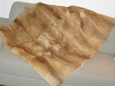 PELZPLAID PELZDECKE @ PELZ echt @ KOJOTE  WOLF @135 X 205 @ w. NEU @ Plaid Decke