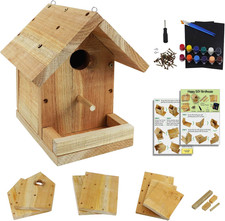 DIY Wooden Bird House Craft Kit with Paint Set Assembly Creative Kids Activity S