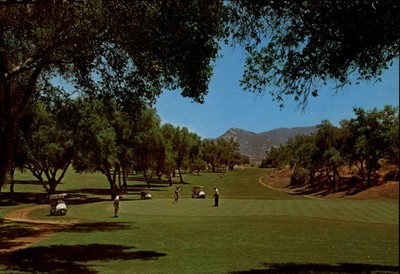 Fallbrook CA Pala Mesa Resort Golf Course golfers cart unused vintage postcard