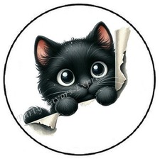 PEEKING BLACK CAT KITTEN ENVELOPE SEALS LABELS STICKERS PARTY FAVORS