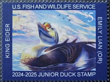 #JDS32 2024 Junior Duck Duck - King Elder - MNH