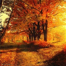  2 Two Paper Lunch Napkins for Decoupage/Mixed Media - Autumn Park