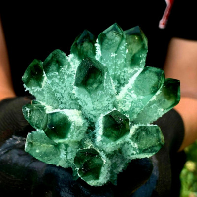 259G+ Rare Large Green Phantom Quartet Aura Cluster Crystal Mineral Rock Decor