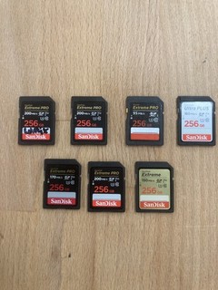 Lot of 7 256GB SD Memory Cards