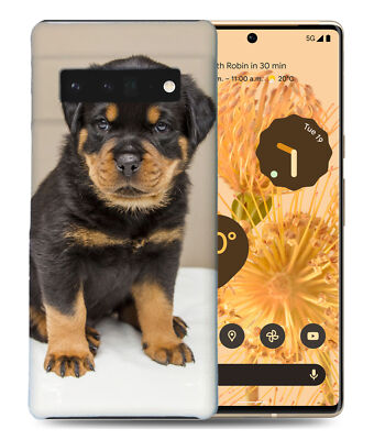 CASE COVER FOR GOOGLE PIXEL|ROTTWEILER DOG 2