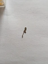 Cyma 420 Mechanical Watch Setting Lever