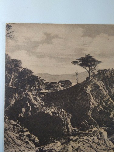 California Postcard 1909 Original RARE Monterey Midway Point Franklin Stamp - Picture 8 of 12