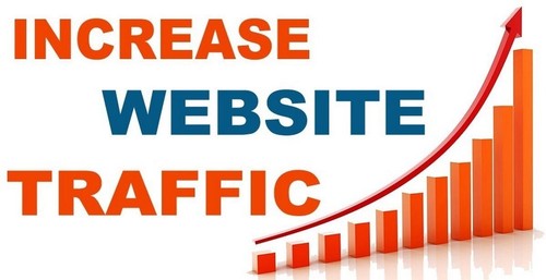 2000 Organic Visitors Per Day For 90 Days - Picture 2 of 2
