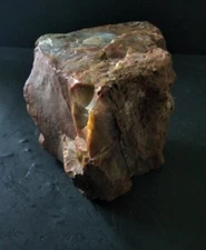 Prehistoric Paleo-American, petrified wood, rock art sculpture multi tool.
