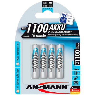 AAA 1100