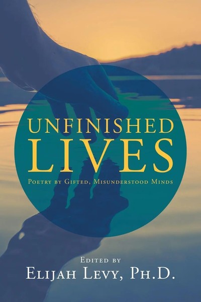 Elijah Levy | Unfinished Lives | Taschenbuch | Englisch (2020) | Xlibris US-image
