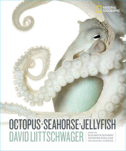 Thumbnail - Octopus, Seahorse, Jellyfish By David Liittschwager