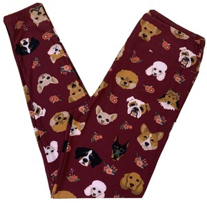 lularoe boston terrier leggings