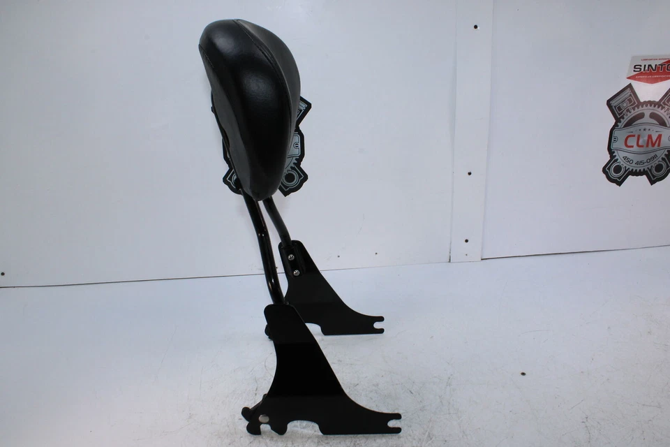 Harley-Davidson Sportster 1200xl 2018 cuarenta y ocho respaldo negro  Foto 2 de 4