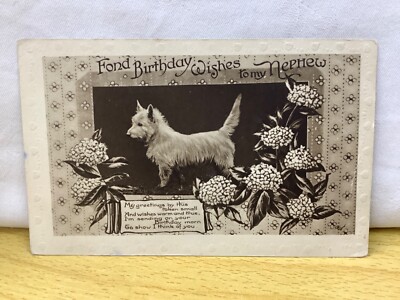 Liebe Geburtstagswünsche an meinen Neffen, Terrierhund, Serie Nr. R.66 Postkarte