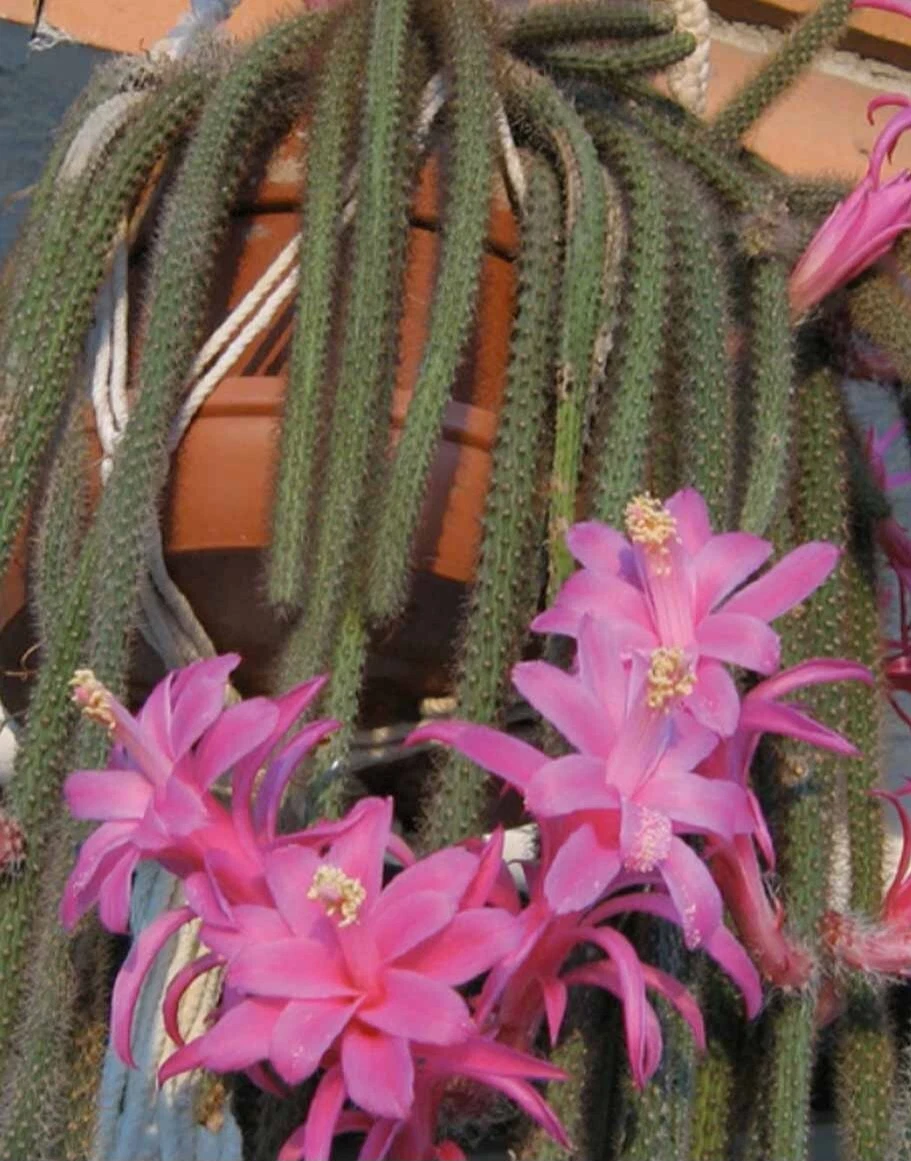 Foto 1 di 6