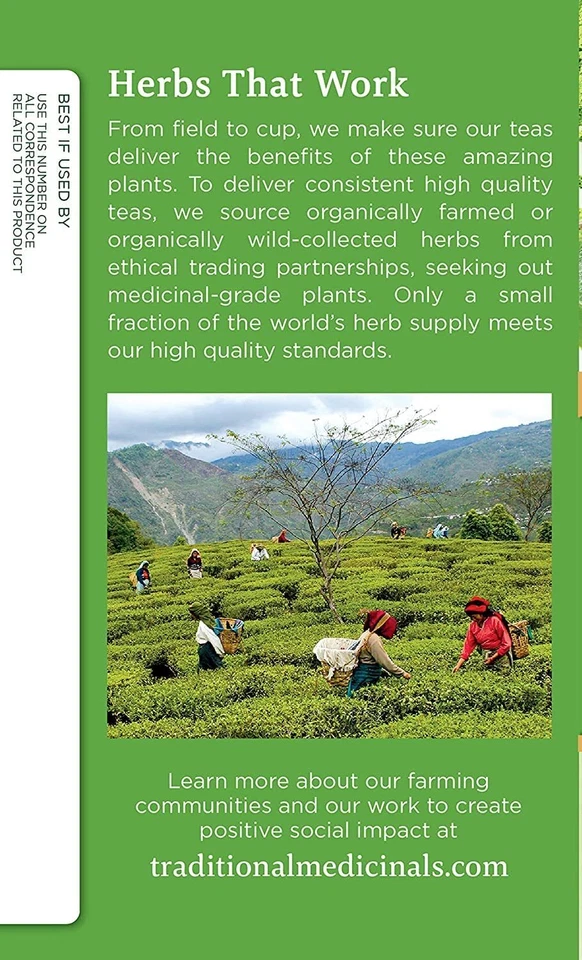 Matcha de té verde tradicional medicinal con arroz tostado 16 bolsas Foto 4 de 4