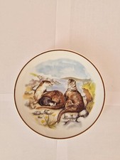 Collectible Wildlife Of Britain Otters Susan Beresford Readers Digest Plate