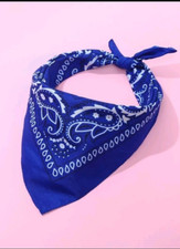 A beautiful paisley print bandana that can be worn on the head, on the scarf, or